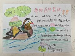 -越鸟艺术中心