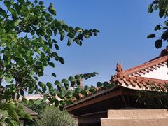 -台山颐和温泉城