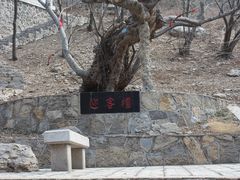 -青檀寺景区