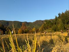 -塔川景区