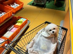 -MARSMART PETS火星宠物超市(1733店)