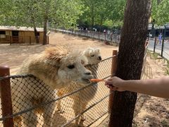 -大连森林动物园