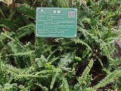 -广西壮族自治区药用植物园