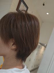 -爱维丽