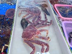 -大湾区中央湿地公园-十九涌