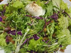 -Tubestation站点比萨(五道营店)