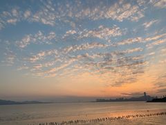 -深圳湾公园(南山区)
