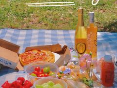 -上海共青森林公园