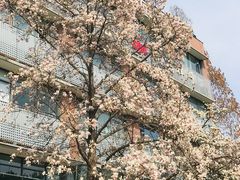 -南京晨光1865创意产业园