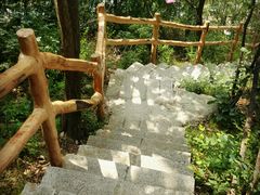 -雾灵西峰