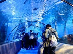 -太平洋海底世界