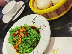 凉拌丝瓜尖-朕之味(龙湖·西城天街店)