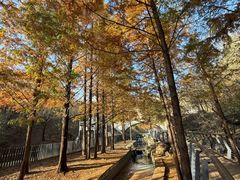 -白水寺森林公园