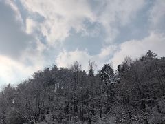 -四里河滨水生态公园