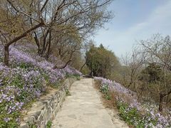-香山公园