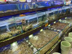 小青龙-欢乐海岸美食联盟