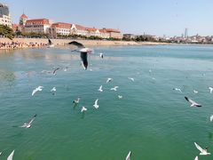 -青岛第一海水浴场