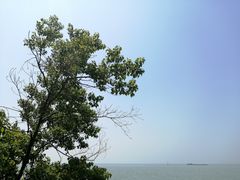 -巢湖姥山岛