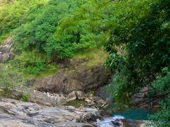 -广州白江湖森林公园