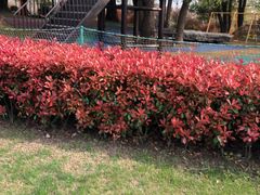 -南通洲际绿博园