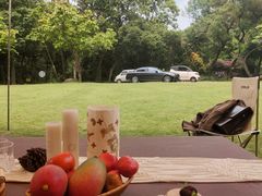 -南宁良凤江国家森林公园