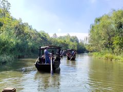 -溱湖国家湿地公园