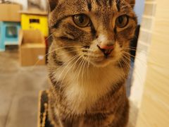 -酒友老火锅(渝中店)