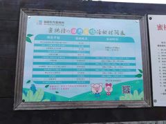 -田园东方蜜桃村的田野营地