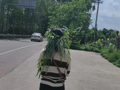 -白鹭湾湿地公园