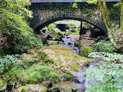 -藏龙百瀑风景区