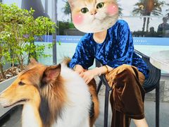 -太兴餐厅(小径湾店)