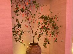 -舒小悦·舒养SPA·古法推拿(光环中心店)