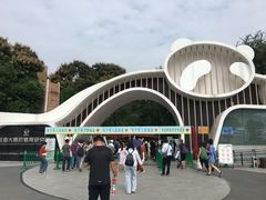 -成都动物园
