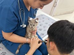 -派美特宠物医院·核磁CT·骨科肿瘤·疑难转诊(沈农禾丰店)