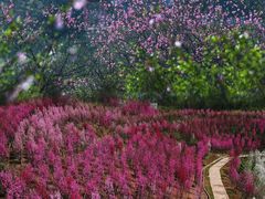 -常德桃花源景区