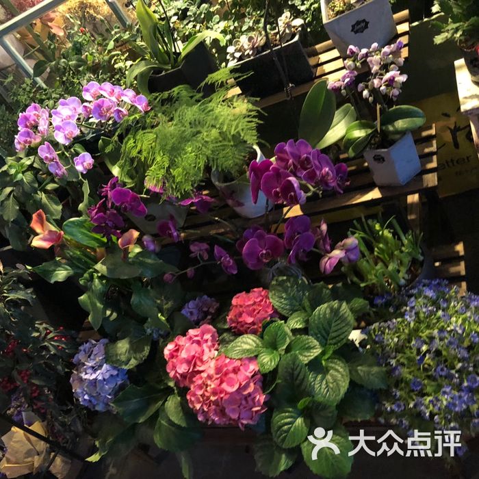 鹿鸣花坊