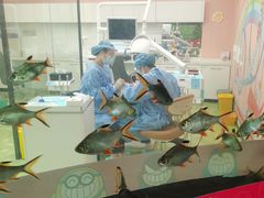 -牙博士口腔品牌连锁(杨浦店)