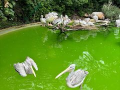 -珠海长隆海洋王国