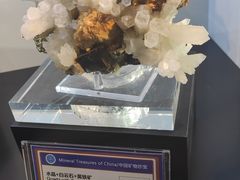 -中国地质大学逸夫博物馆