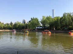-团结湖公园