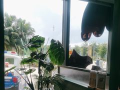 -椰小鸡·琼州糟粕醋·火锅(美兰缤纷城店)