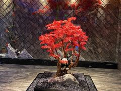 -红辣椒·川菜·火锅(大洋中心店)