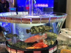 -陶陶居海鲜酒家(新马路店)