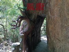 -浙北大峡谷