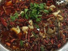 -一品红川菜(皇岗店)