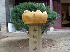 -罔极寺