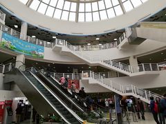 -澳门外港客运码头(轮渡站)