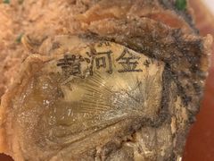 红烧黄河大鲤鱼-金狮麟·新豫菜(金码大厦店)