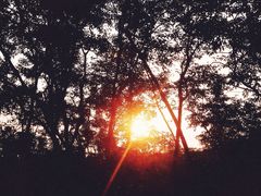 高榜山-高榜山景区