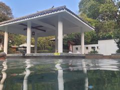 -深业半汤御泉庄温泉